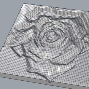 rosa, rose, 3D model view