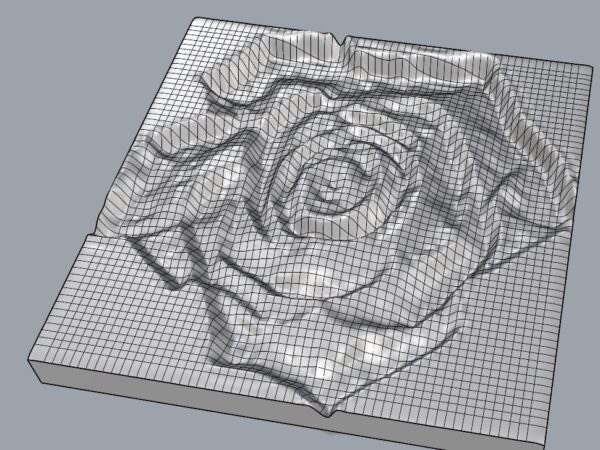rosa, rose, 3D model view
